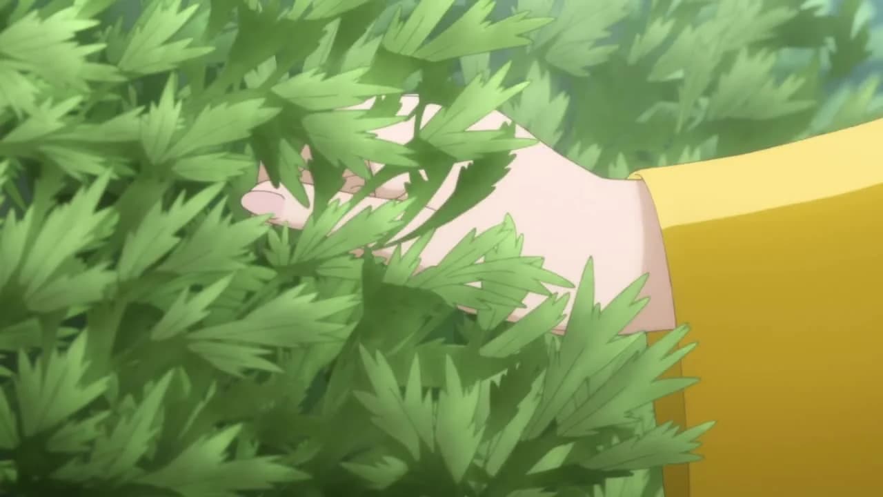 кадр