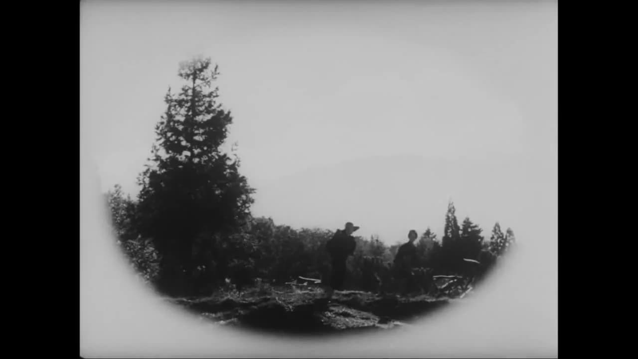 кадр