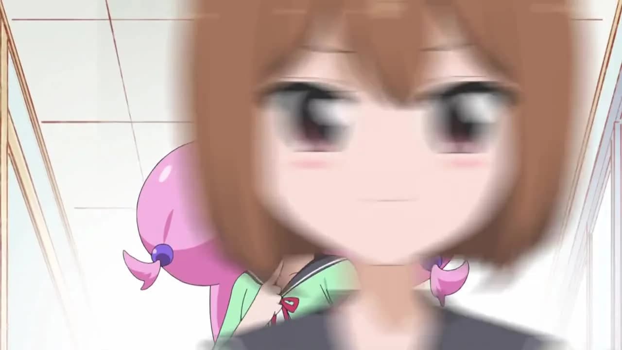 кадр
