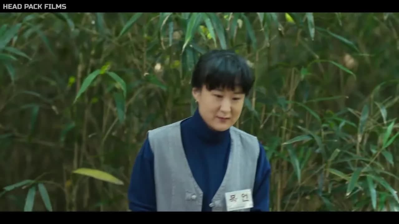 кадр