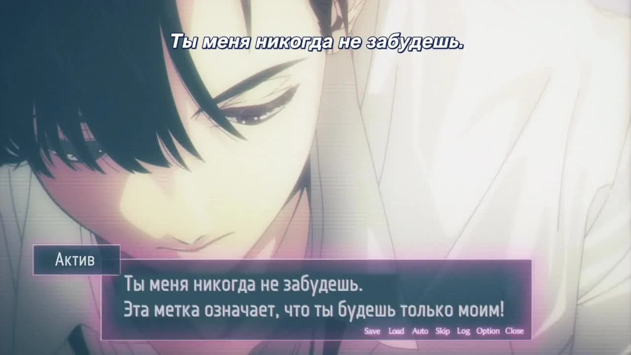 кадр