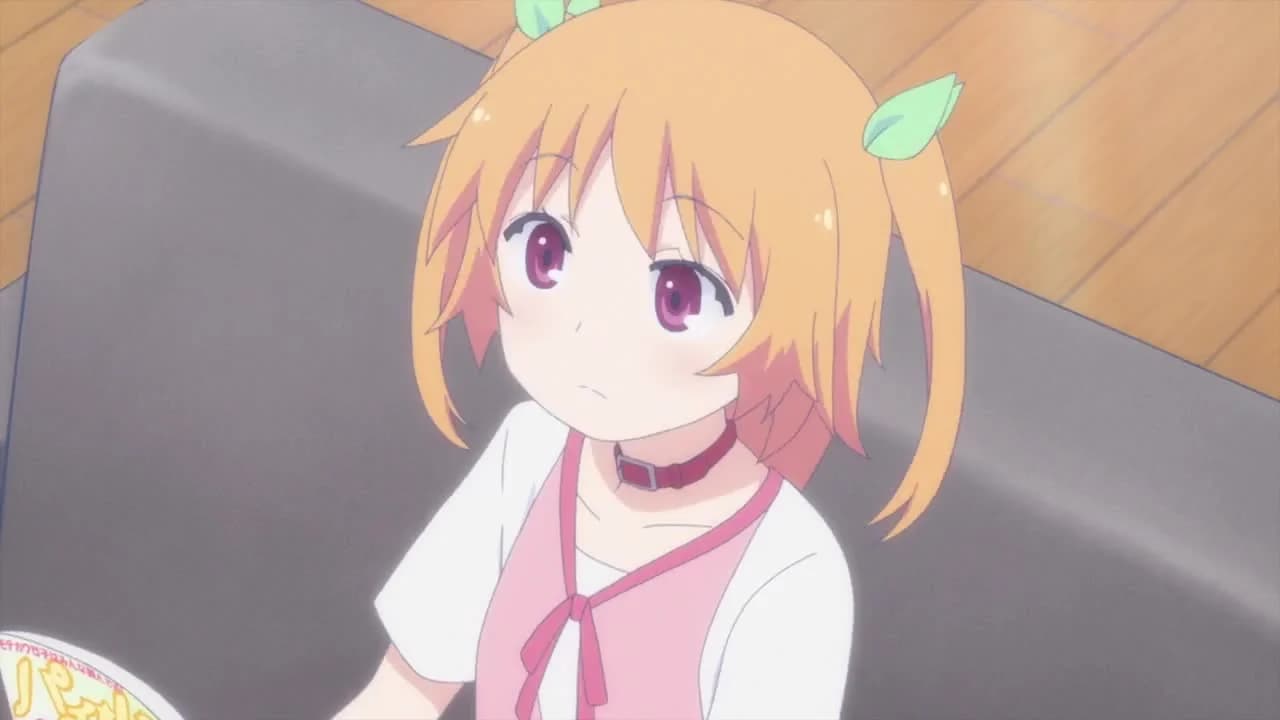 кадр