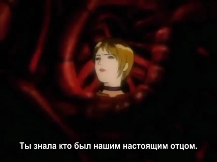 кадр