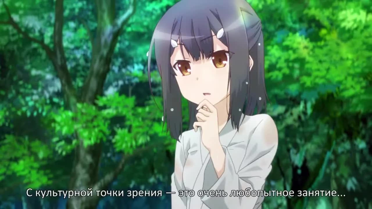 кадр