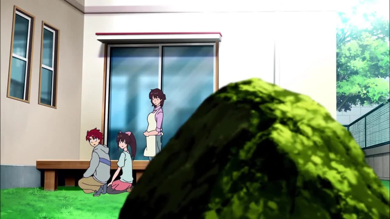 кадр