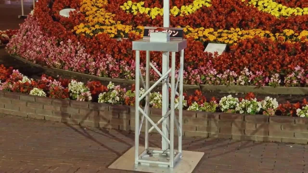 кадр