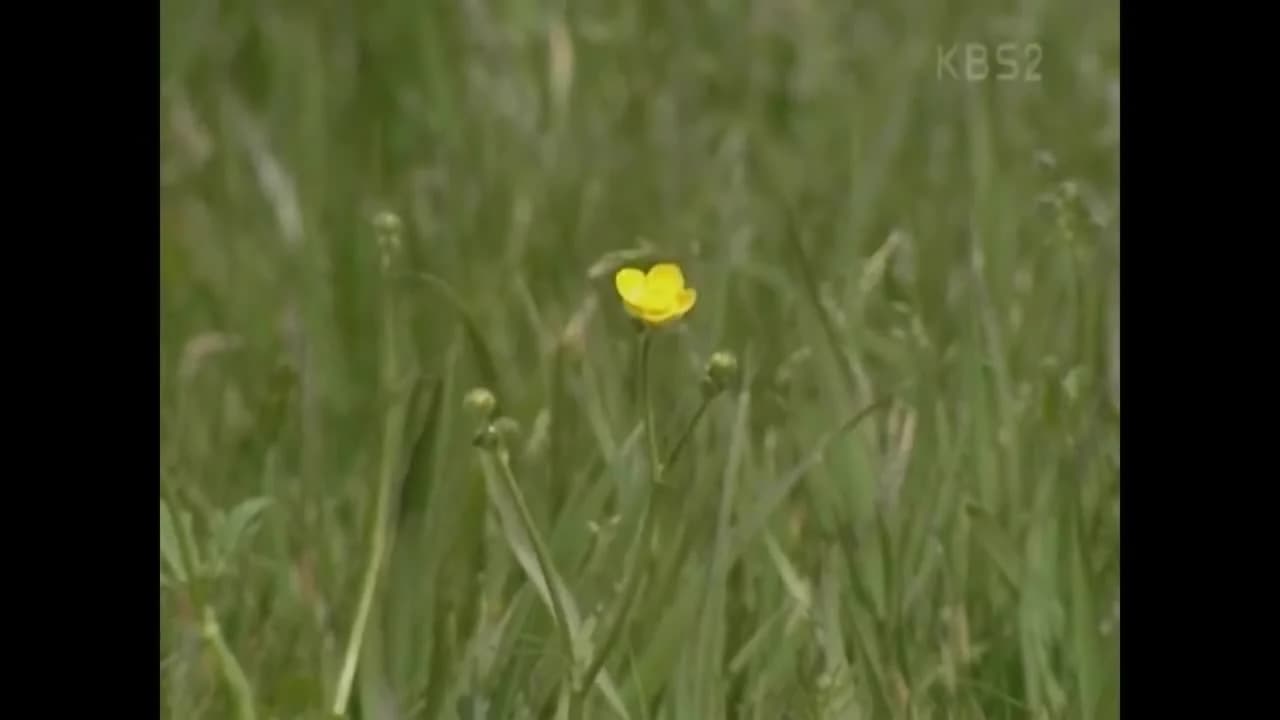 кадр