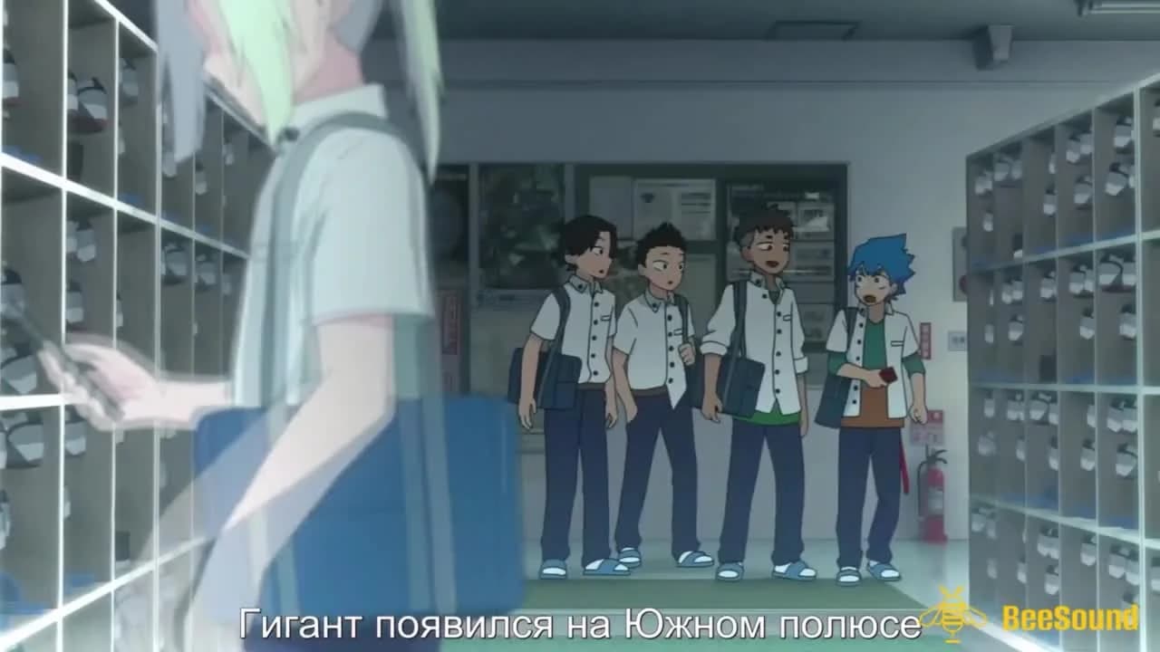 кадр