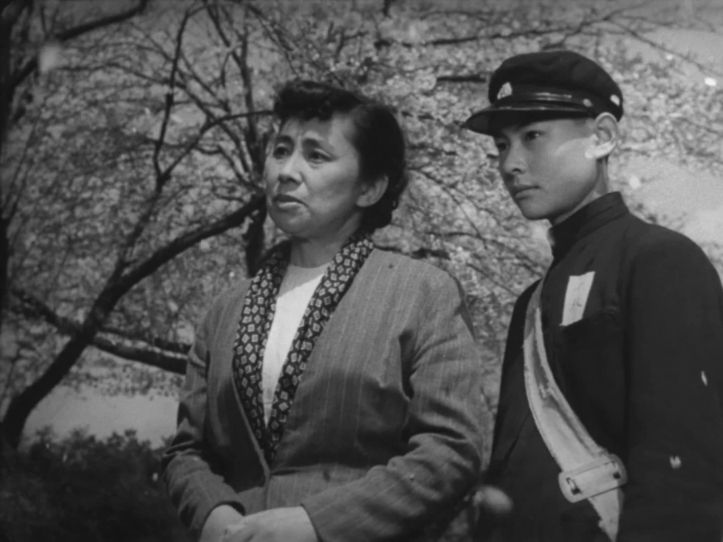 кадр