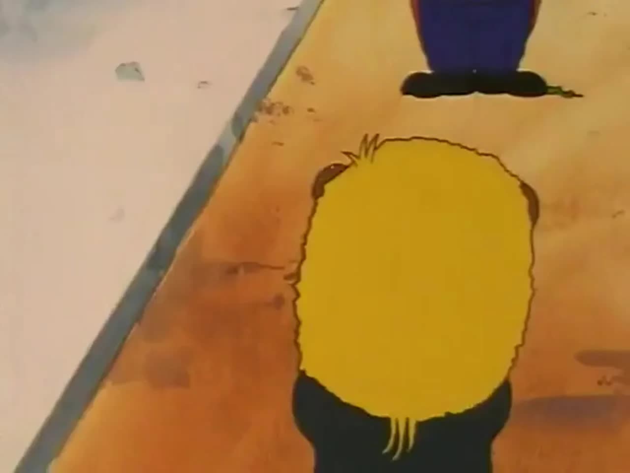 кадр