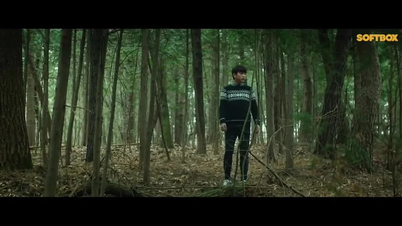кадр