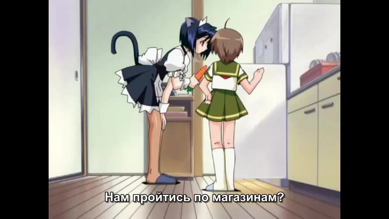 кадр