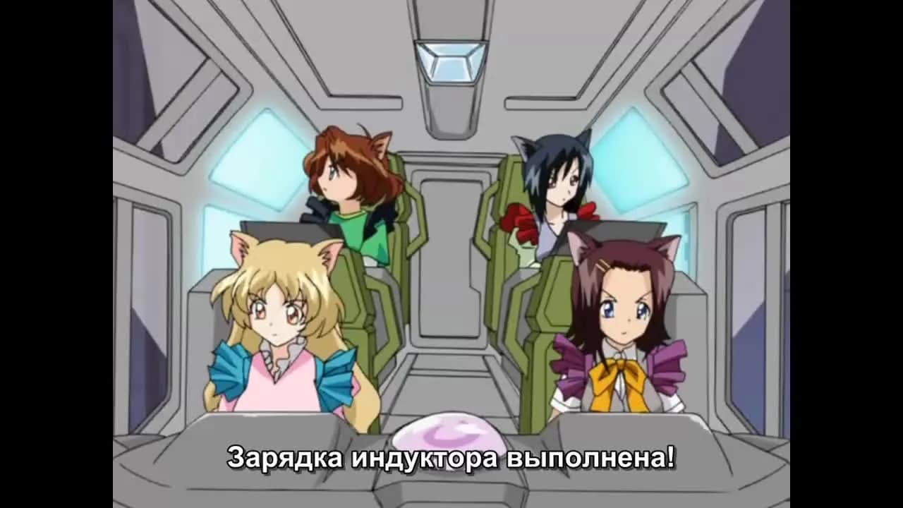 кадр