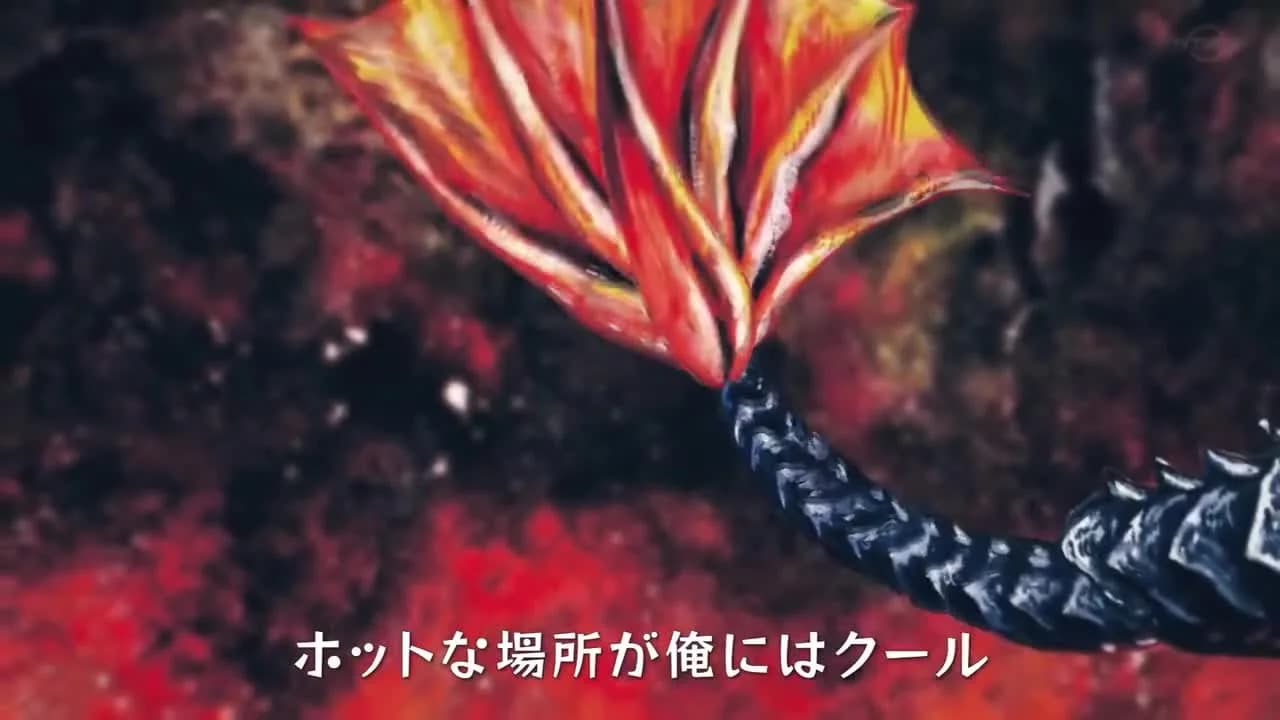 кадр