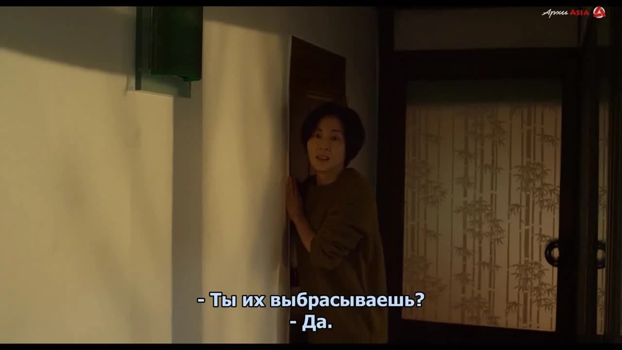 кадр