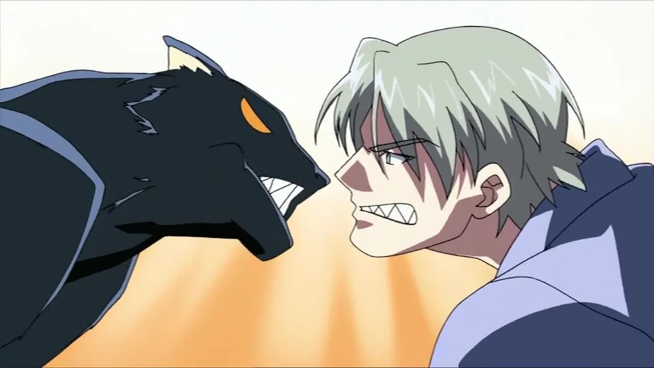 кадр