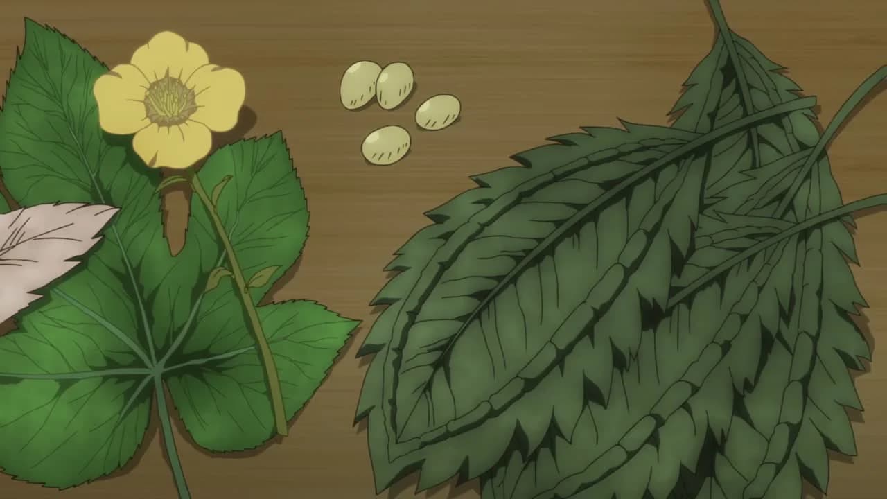 кадр