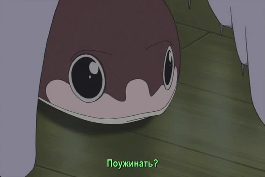 кадр