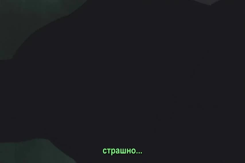 кадр