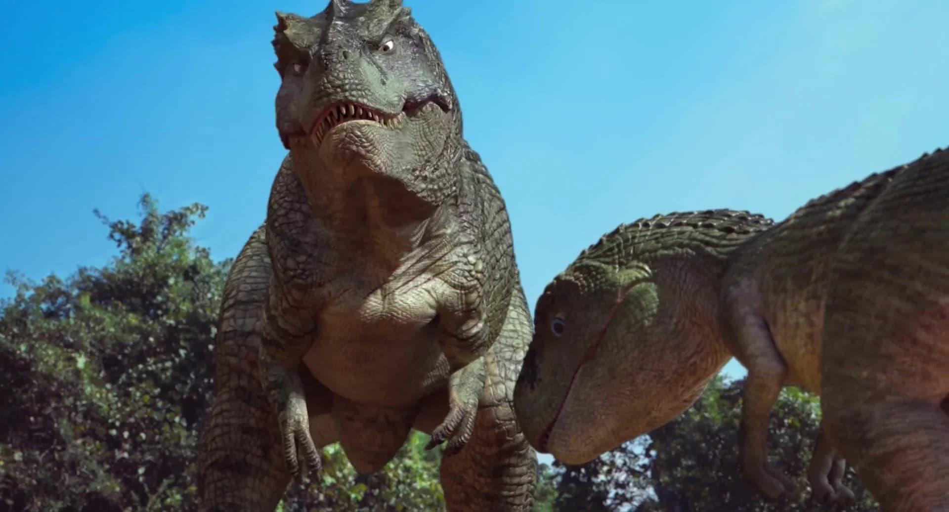 кадр