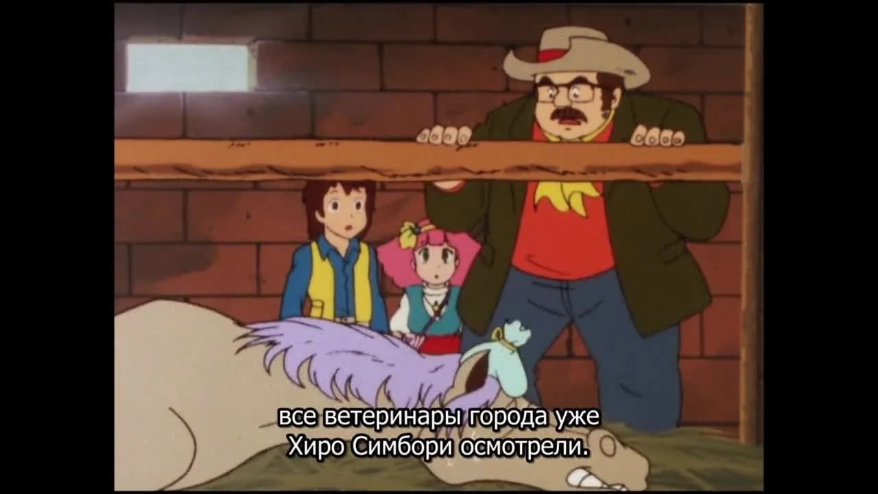 кадр