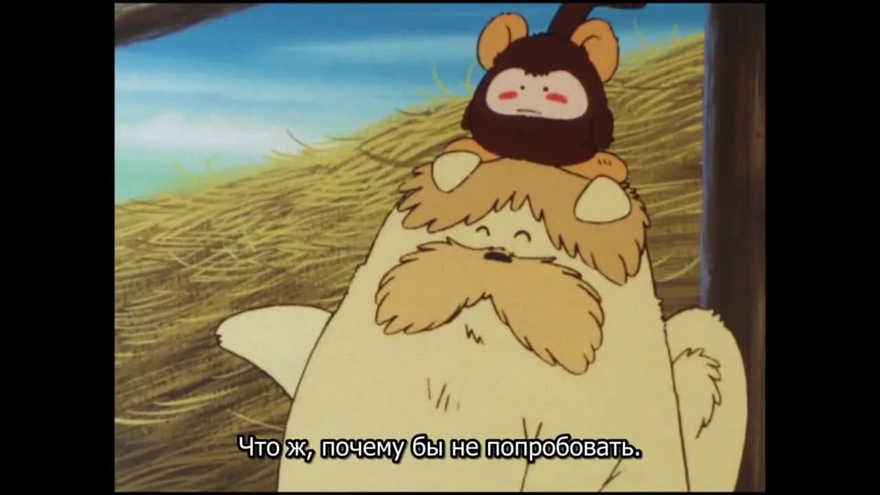 кадр