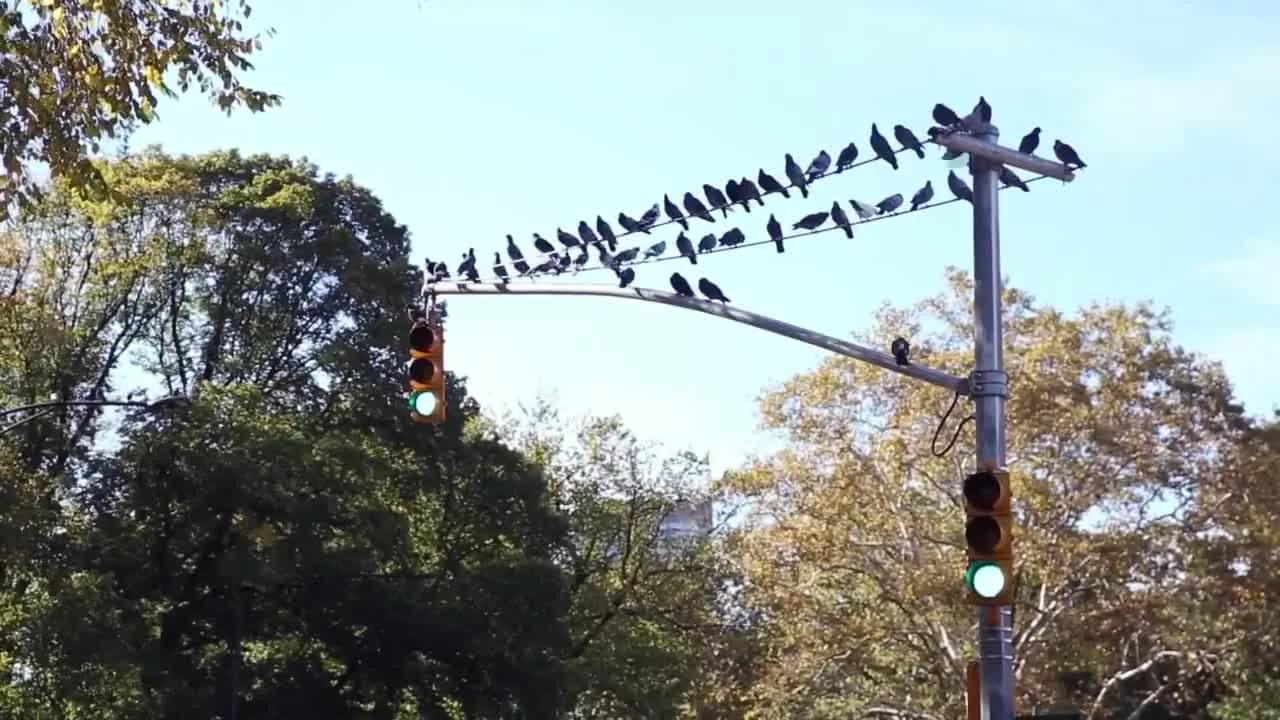 кадр
