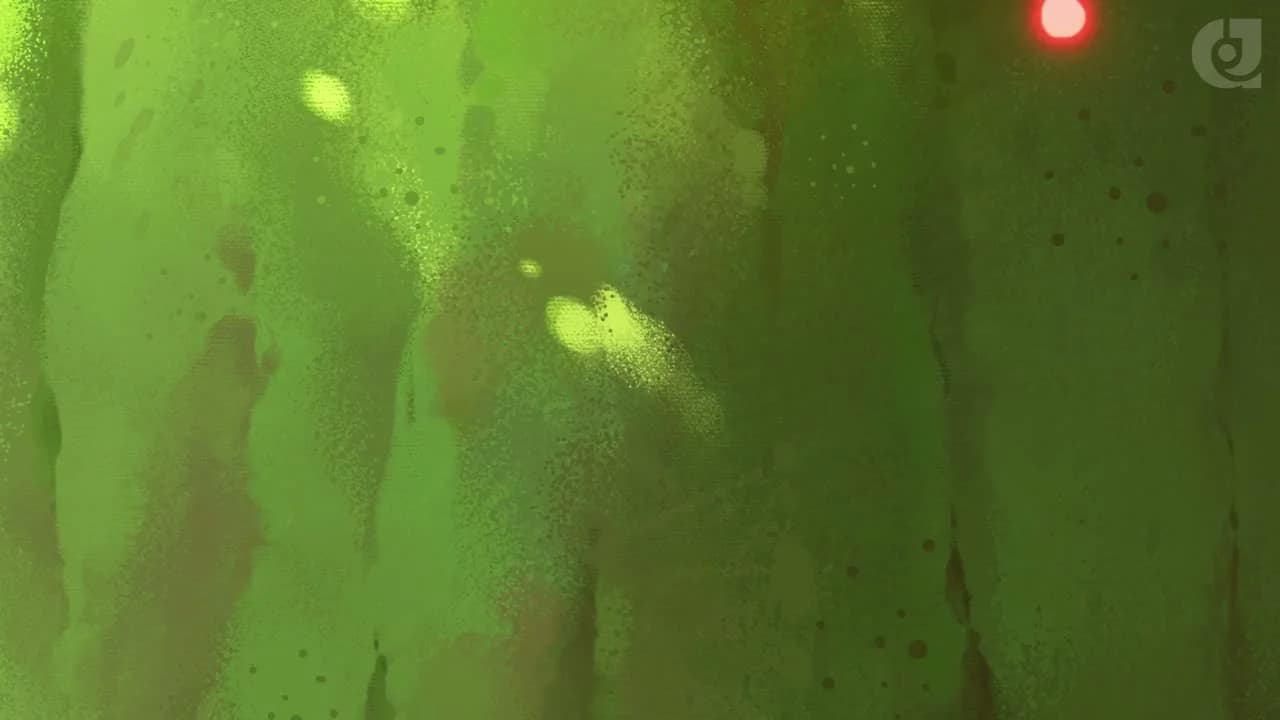 кадр