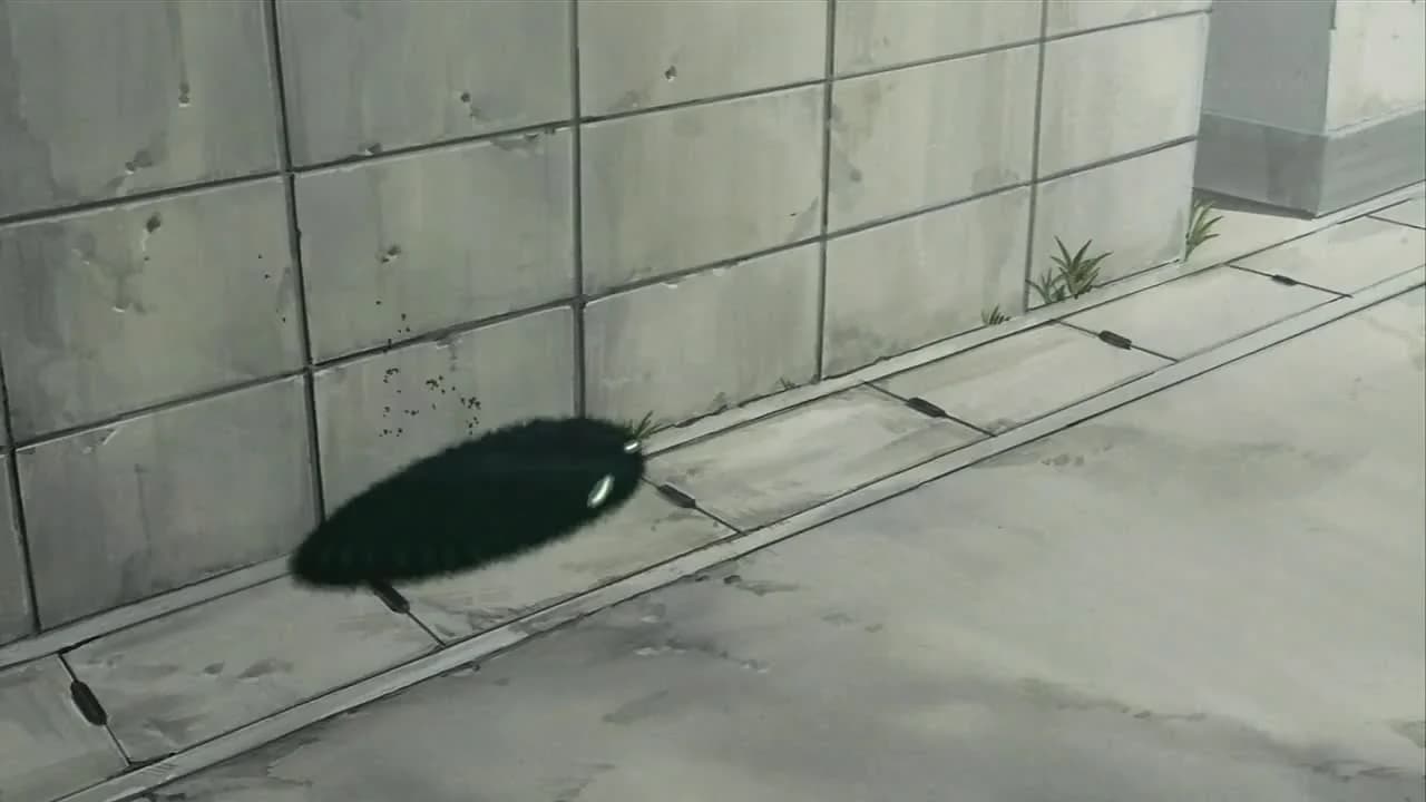 кадр