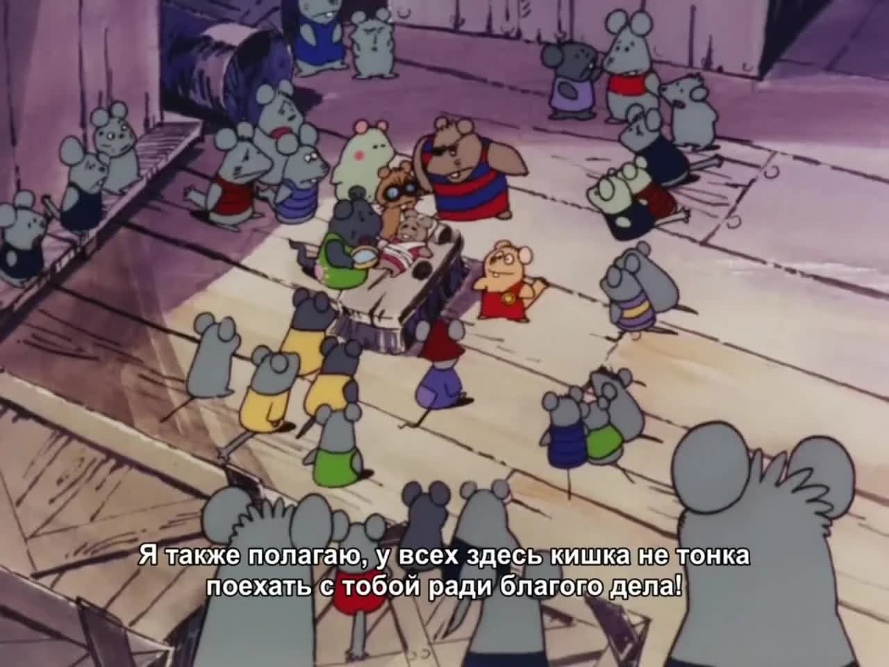 кадр