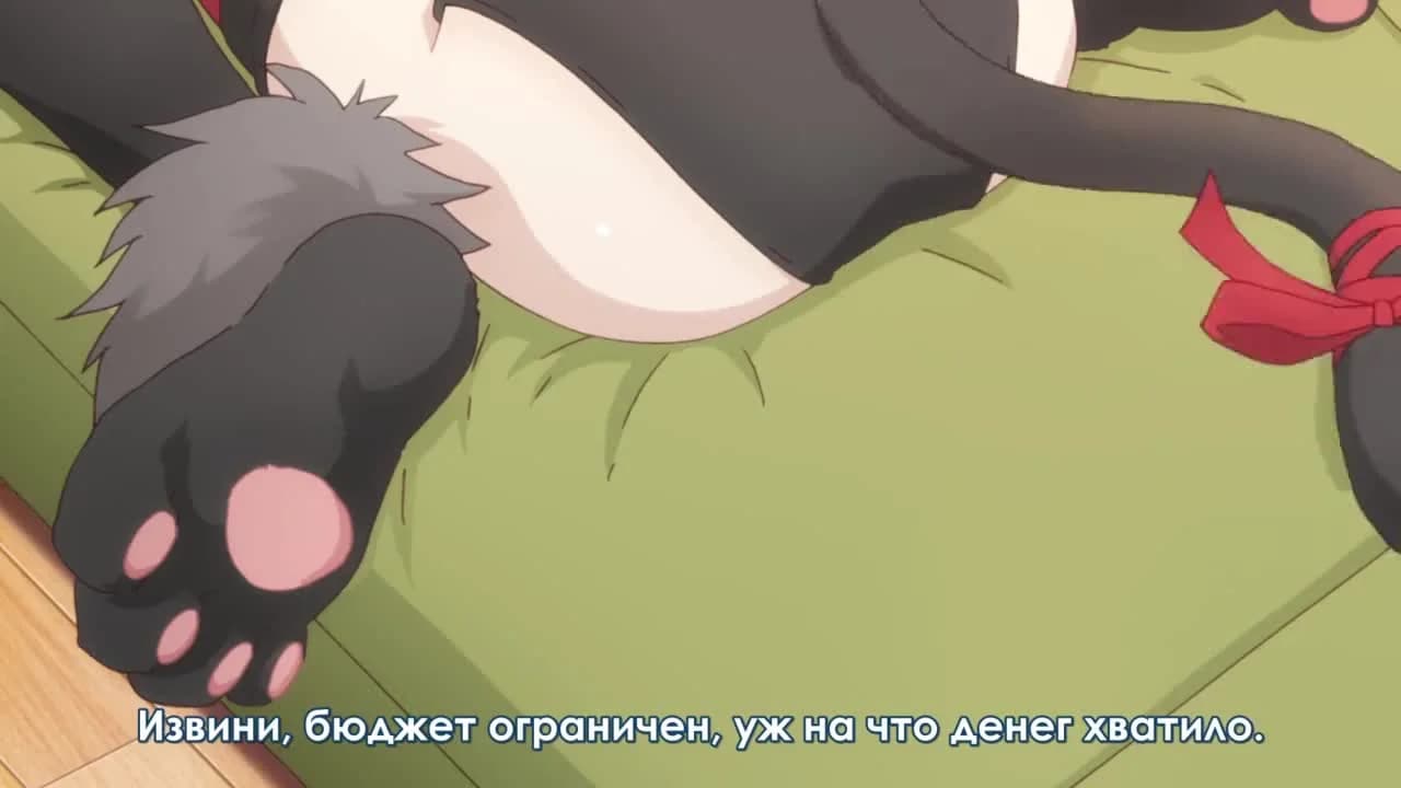 кадр