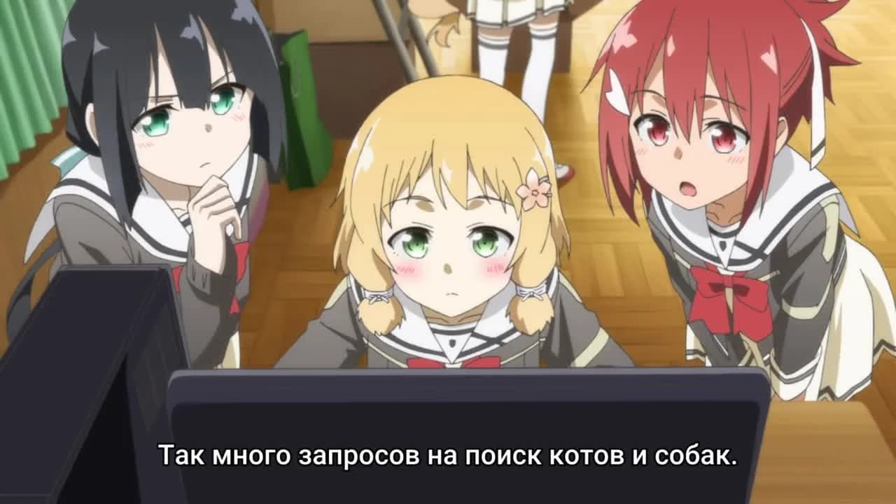 кадр