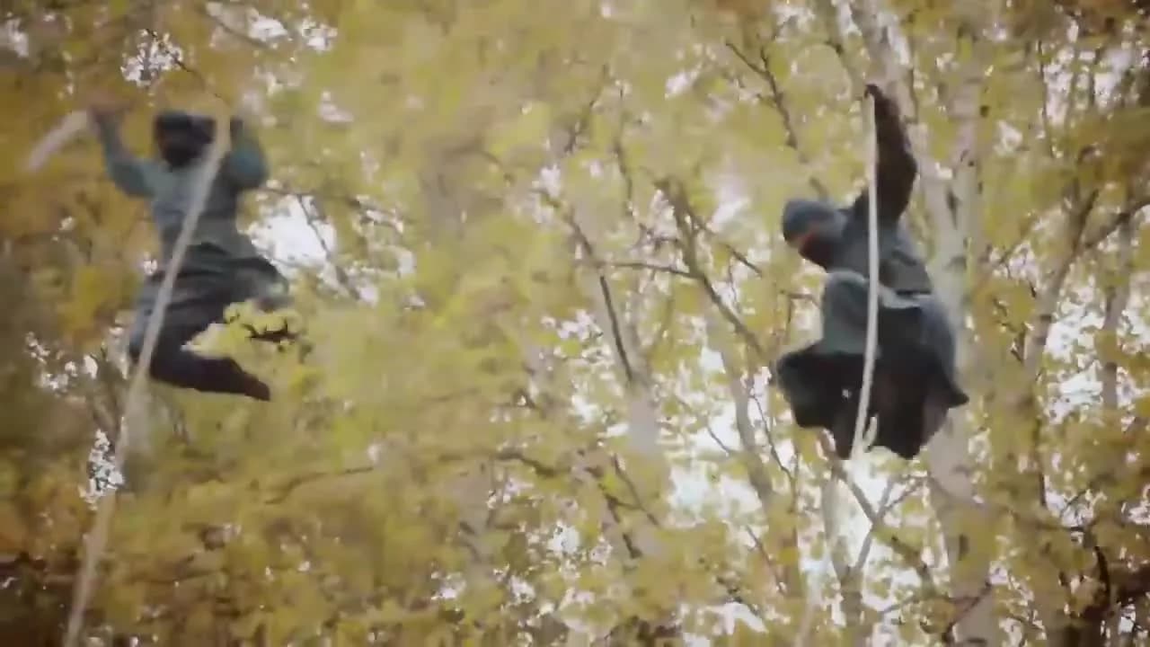 кадр