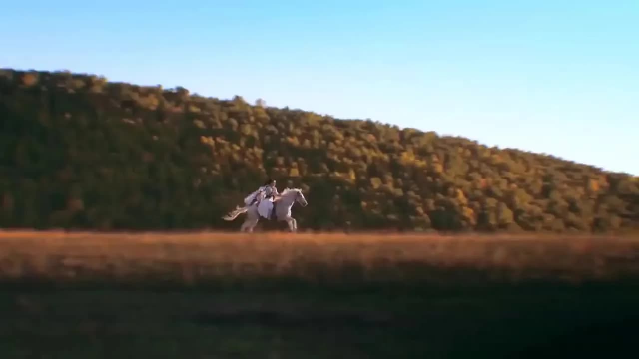 кадр