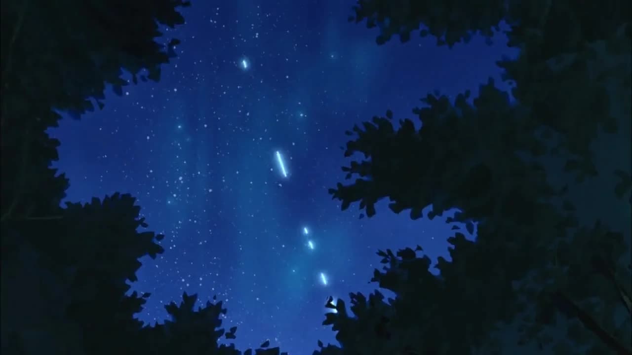 кадр