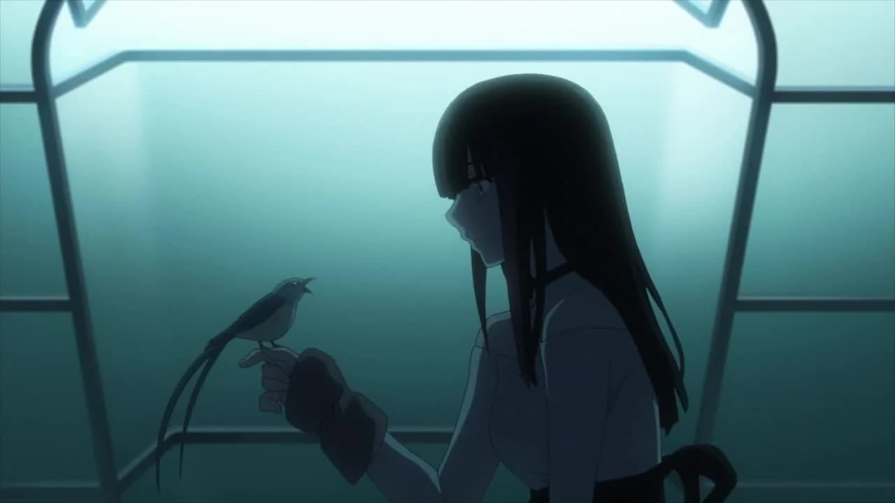 кадр