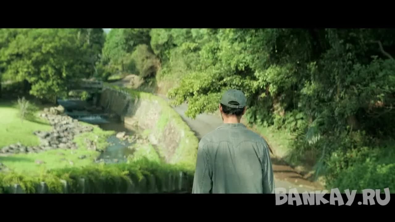 кадр