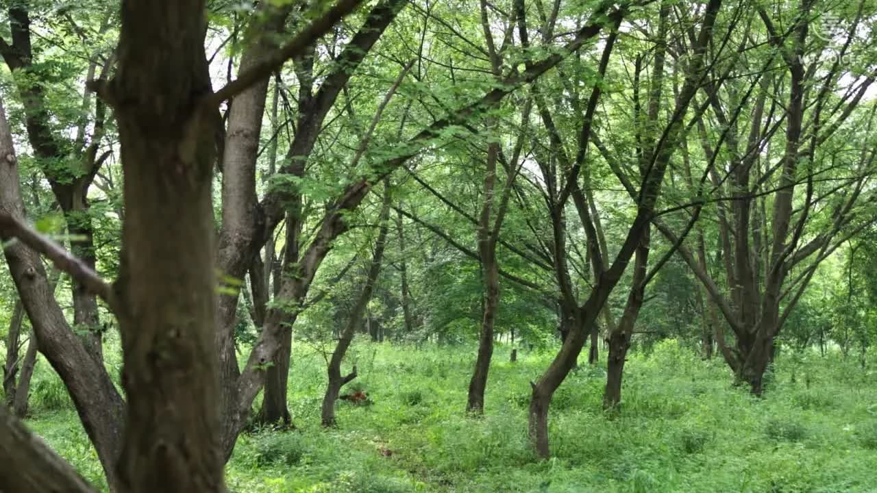 кадр