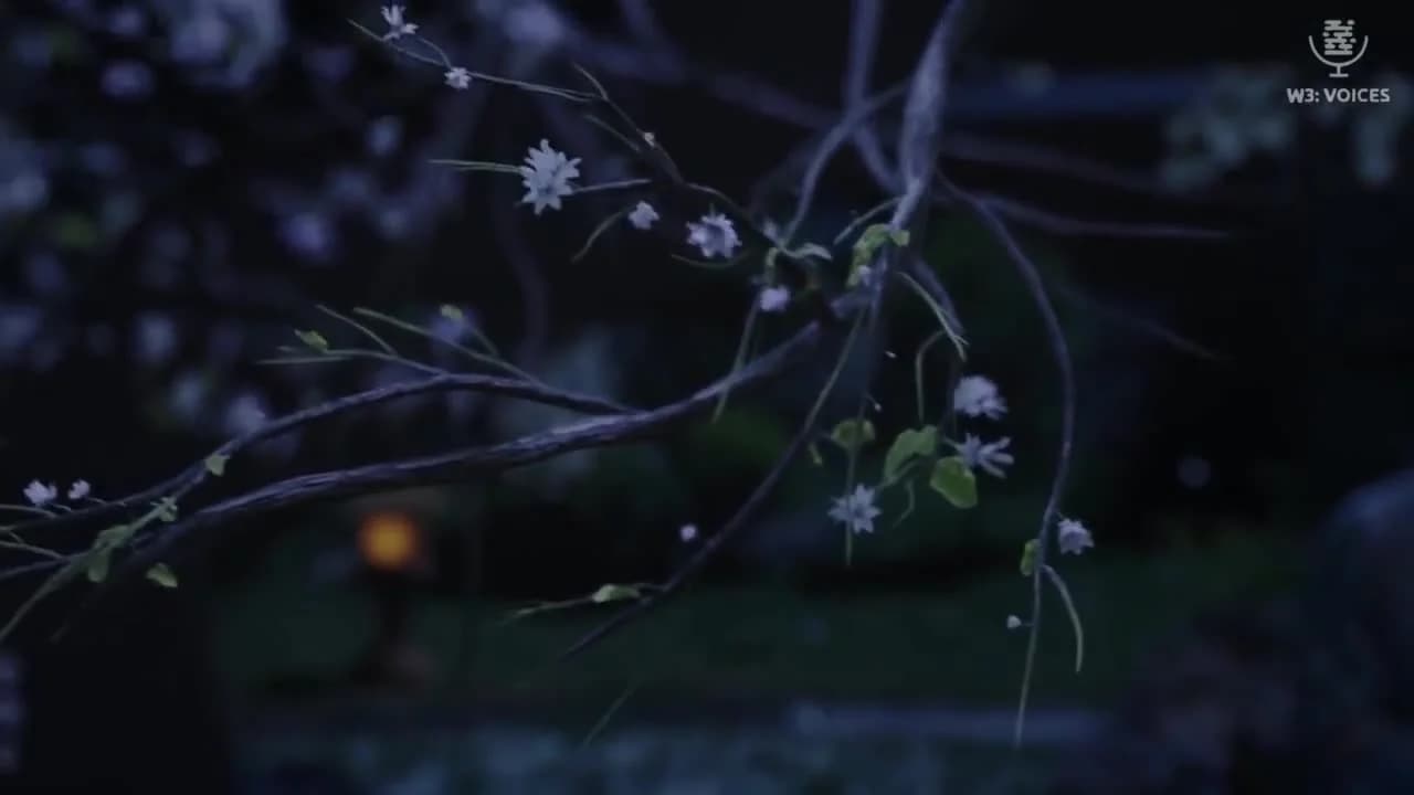 кадр