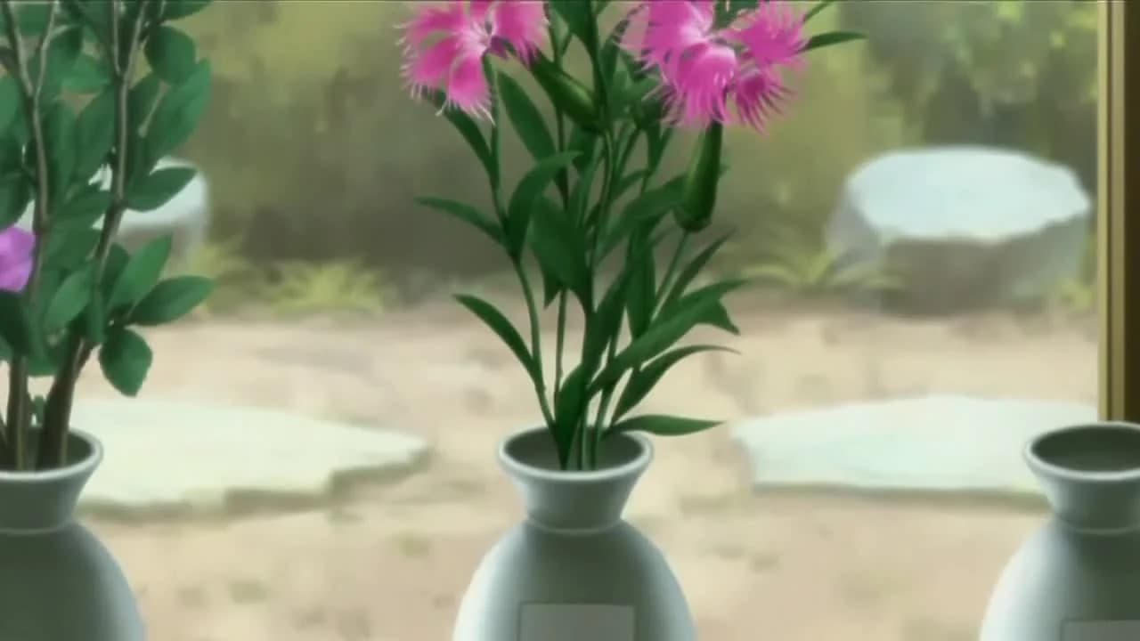 кадр