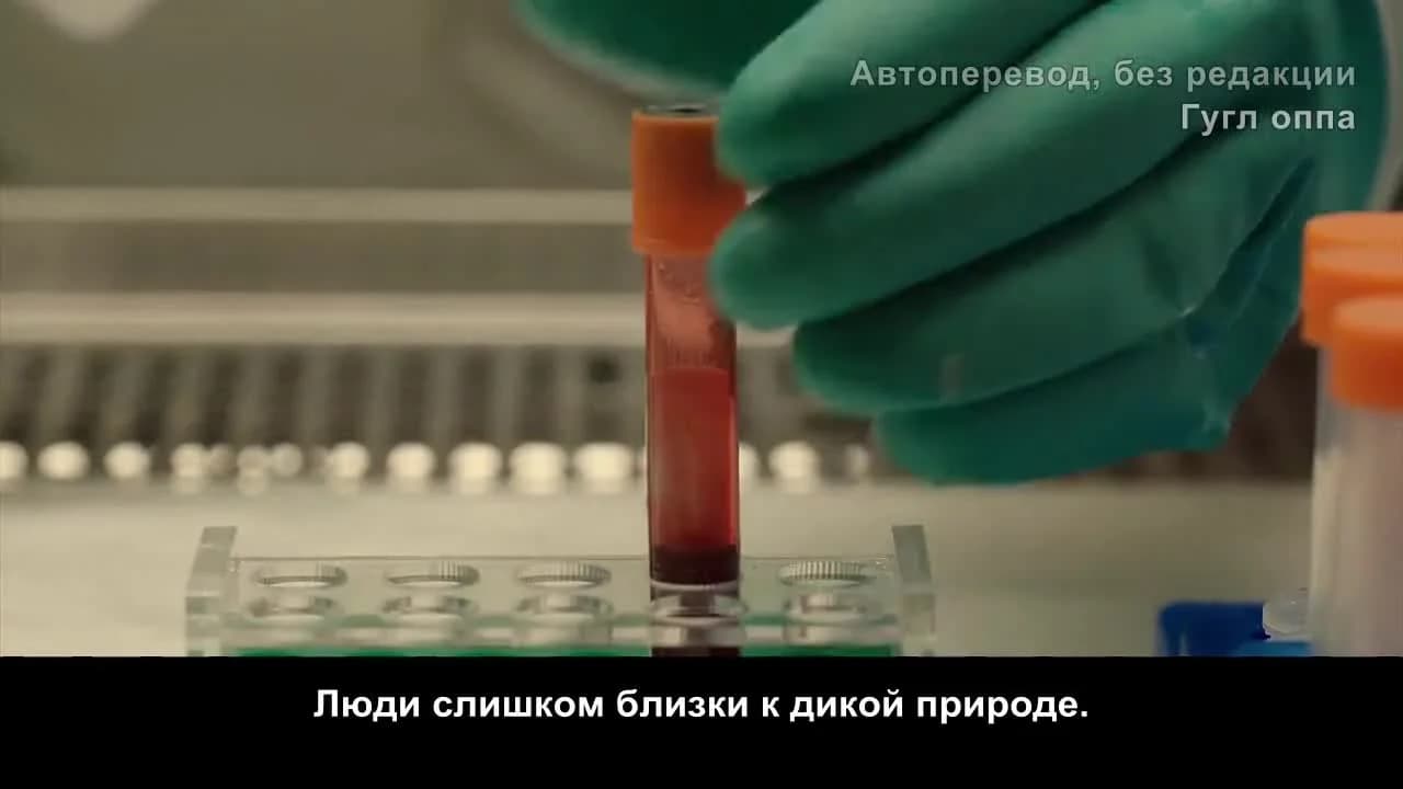 кадр