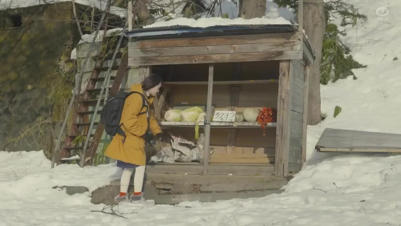 кадр