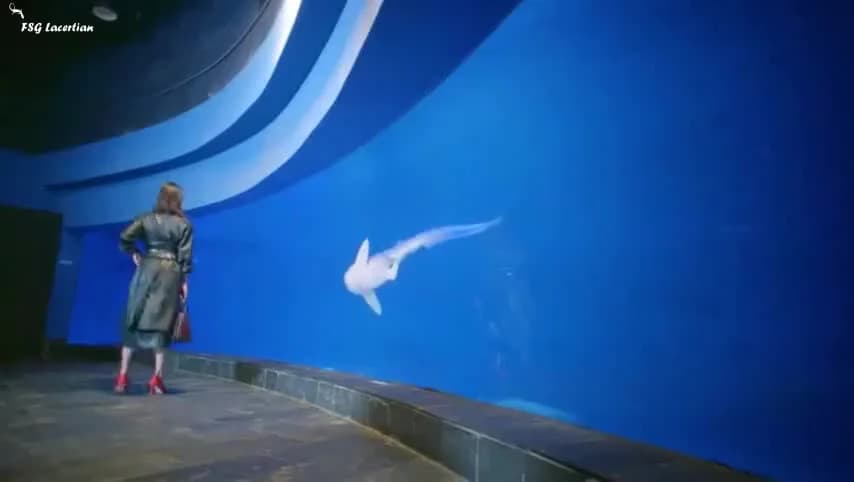 кадр