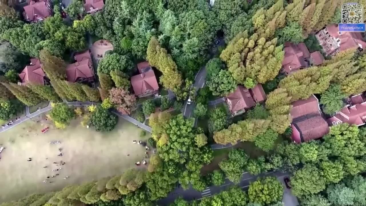 кадр