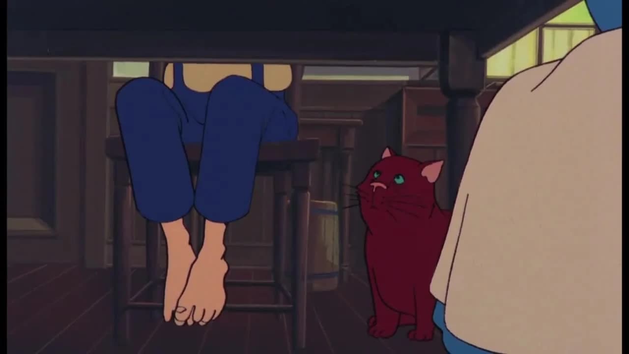 кадр