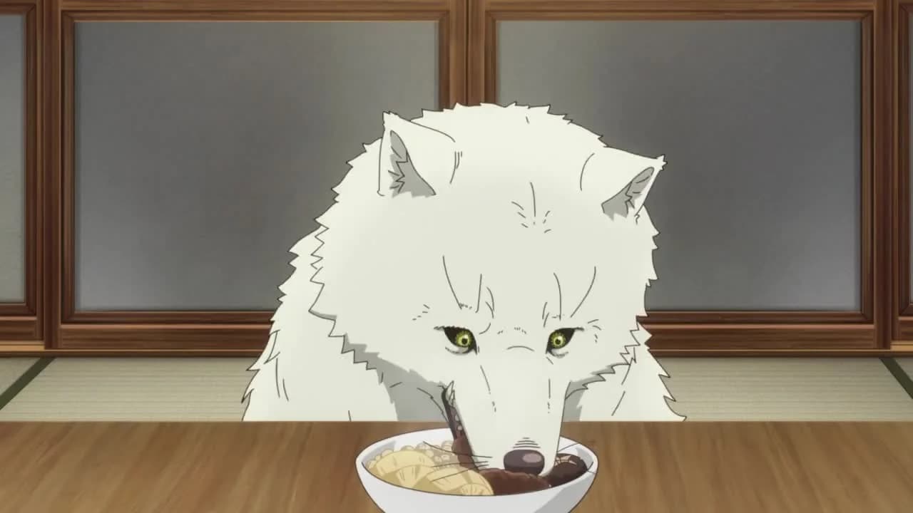 кадр