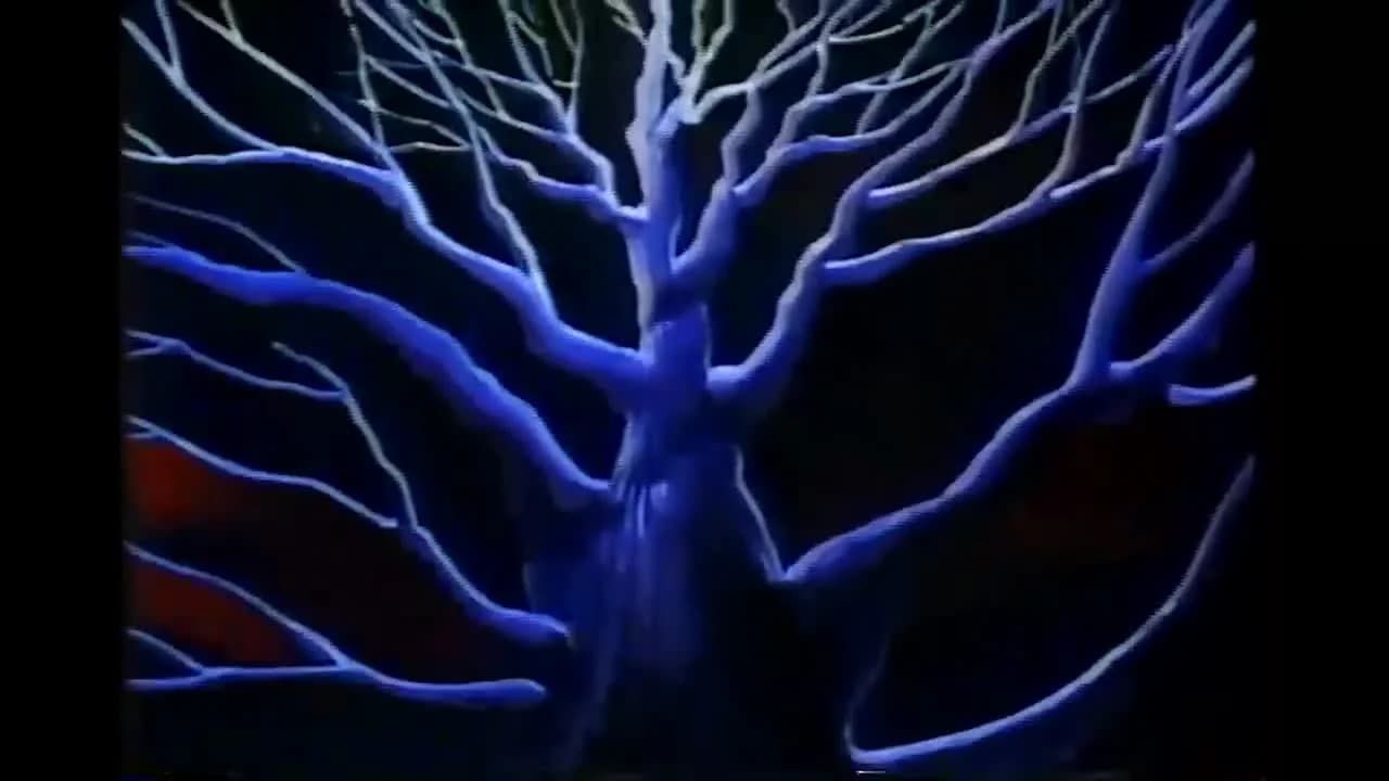 кадр