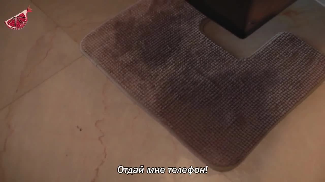 кадр